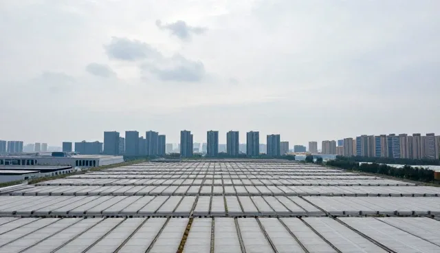 青海网站建设中适用边界问题解析